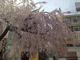 画像 1025.jpg